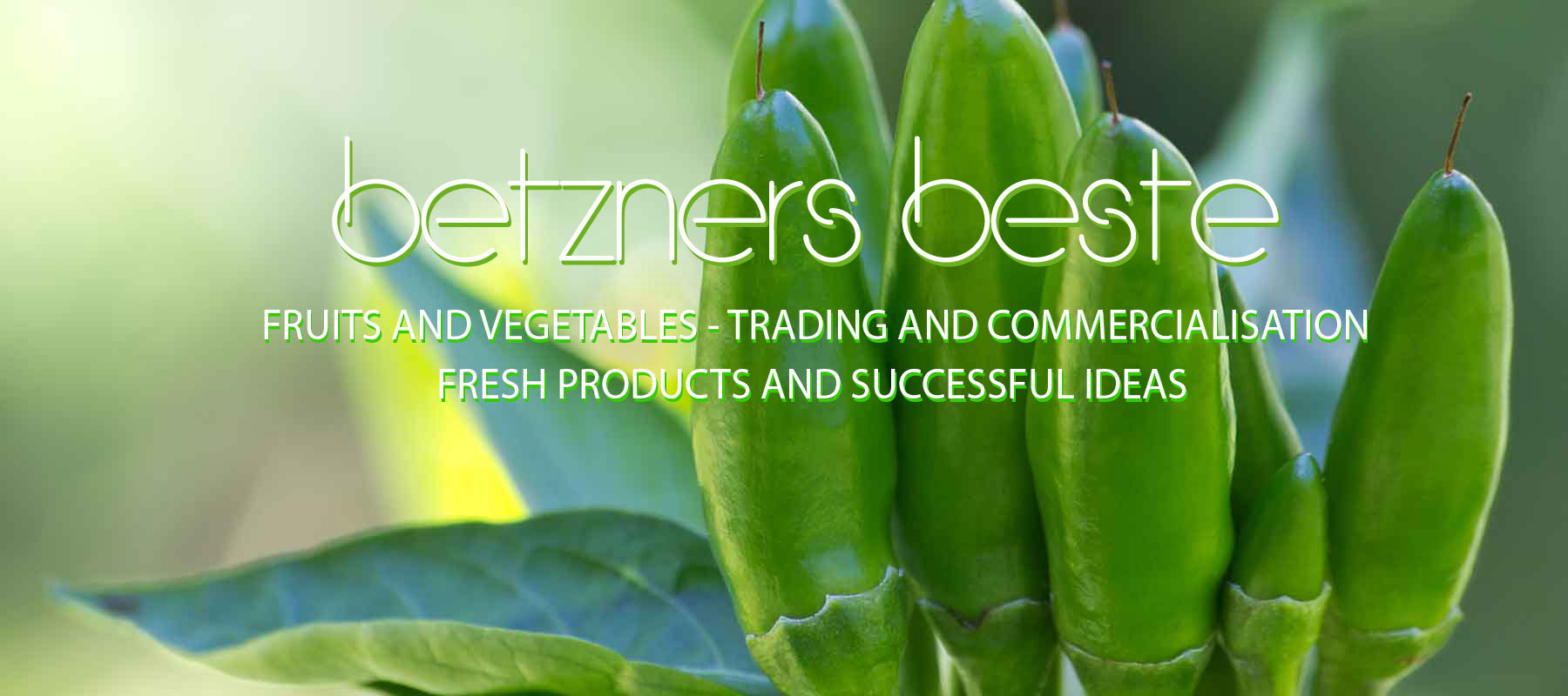 betzners beste fruits vegetables