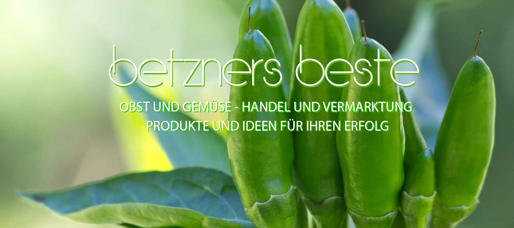 betzners beste obst gemuese